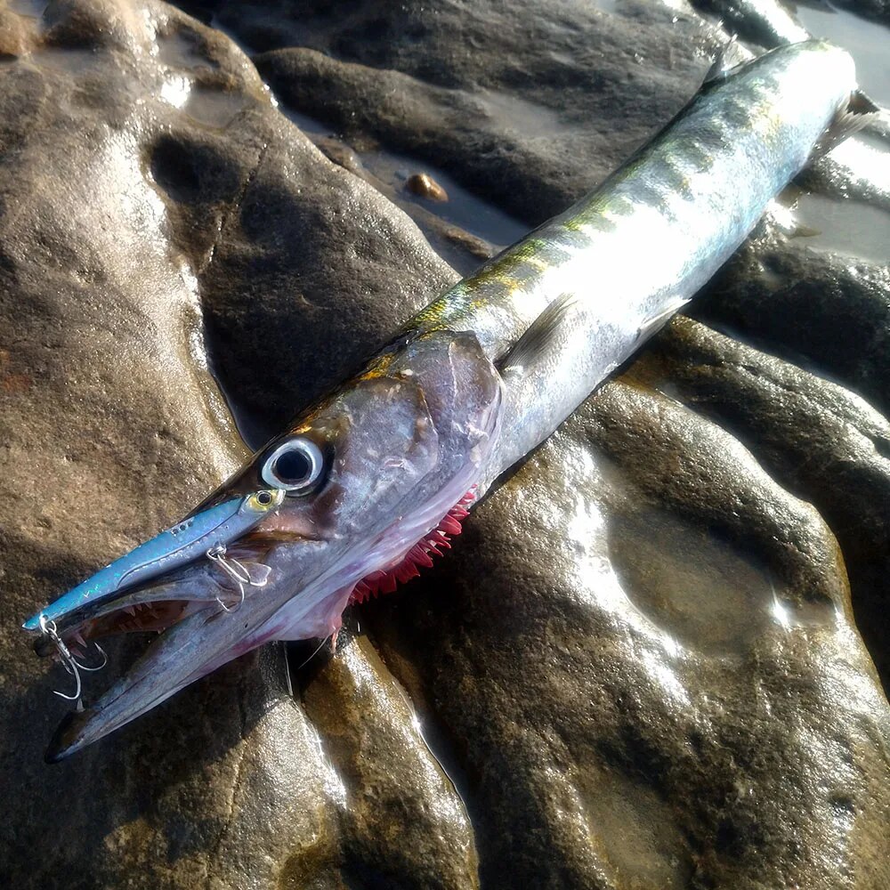 GOBAIT VIB Fishing Lure 20g 25 - Fishing Hook Treble のレビューと価格