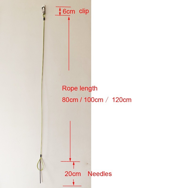 Spear Fishing Fish Stringer fo - Fishing Hook Stainless Steel のレビューと価格